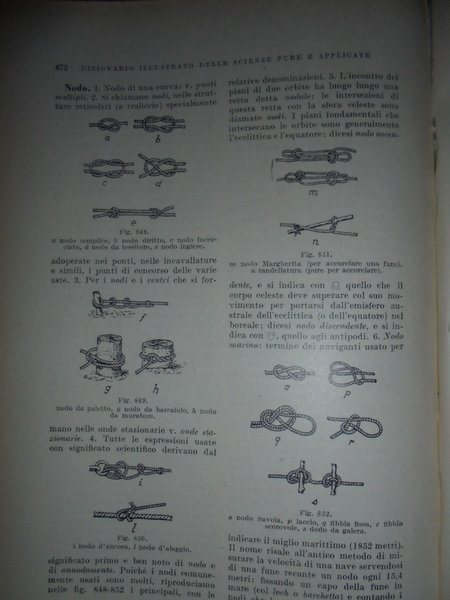 Dizionario illustrato delle scienze pure e applicate