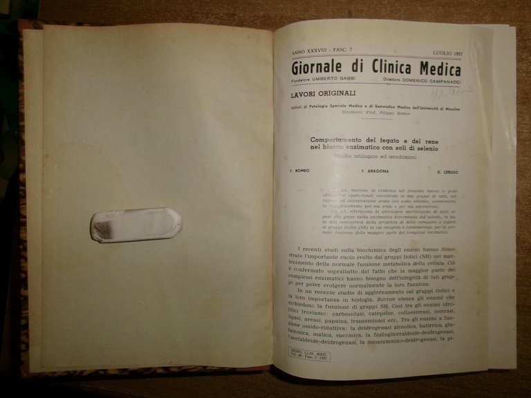 DOMENICO CAMPANACCI. Giornale di Clinica Medica... 12 fascicoli in 2 …