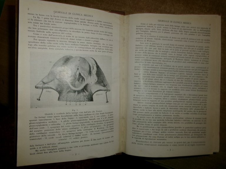 DOMENICO CAMPANACCI. Giornale di Clinica Medica 18 fascicoli legati assieme …