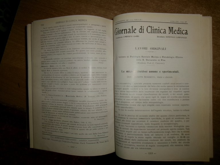 DOMENICO CAMPANACCI. Giornale di Clinica Medica 18 fascicoli legati assieme …