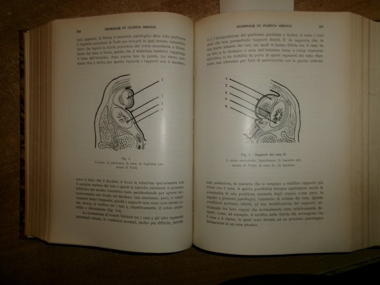 DOMENICO CAMPANACCI. Giornale di Clinica Medica 1952. 12 fascicoli legati …