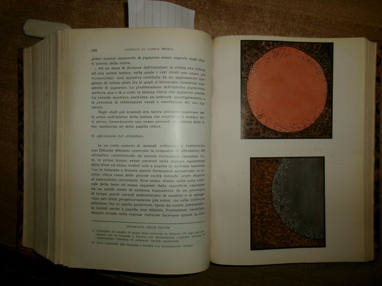 DOMENICO CAMPANACCI. Giornale di Clinica Medica 1953. 12 fascicoli legati …