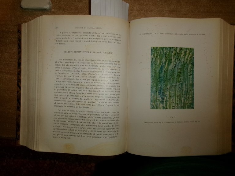 DOMENICO CAMPANACCI. Giornale di Clinica Medica 1953. 12 fascicoli legati …