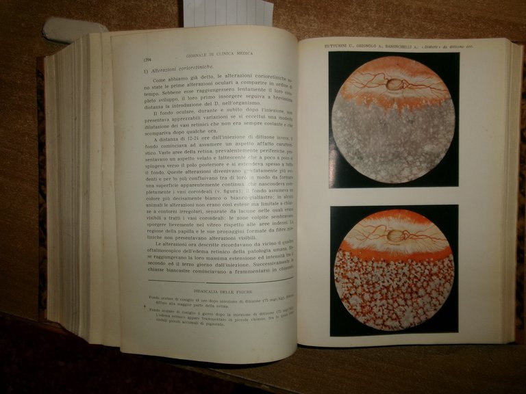 DOMENICO CAMPANACCI. Giornale di Clinica Medica 1953. 12 fascicoli legati …
