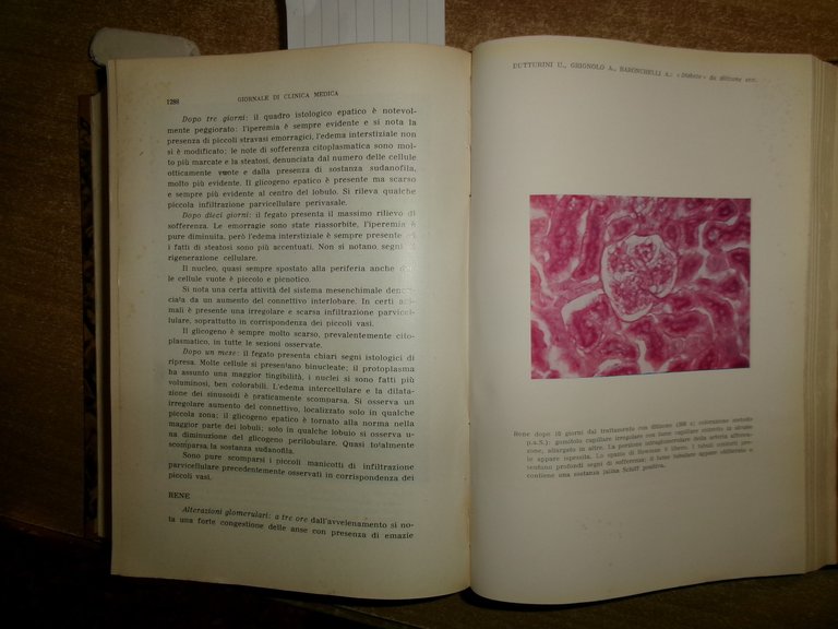 DOMENICO CAMPANACCI. Giornale di Clinica Medica 1953. 12 fascicoli legati …