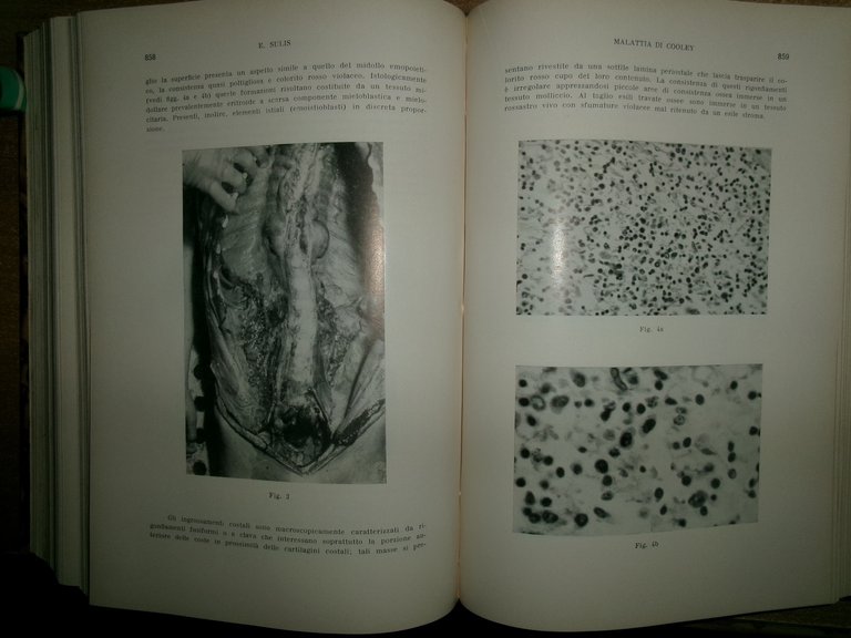 DOMENICO CAMPANACCI. Giornale di Clinica Medica 1959 12 fascicoli in …