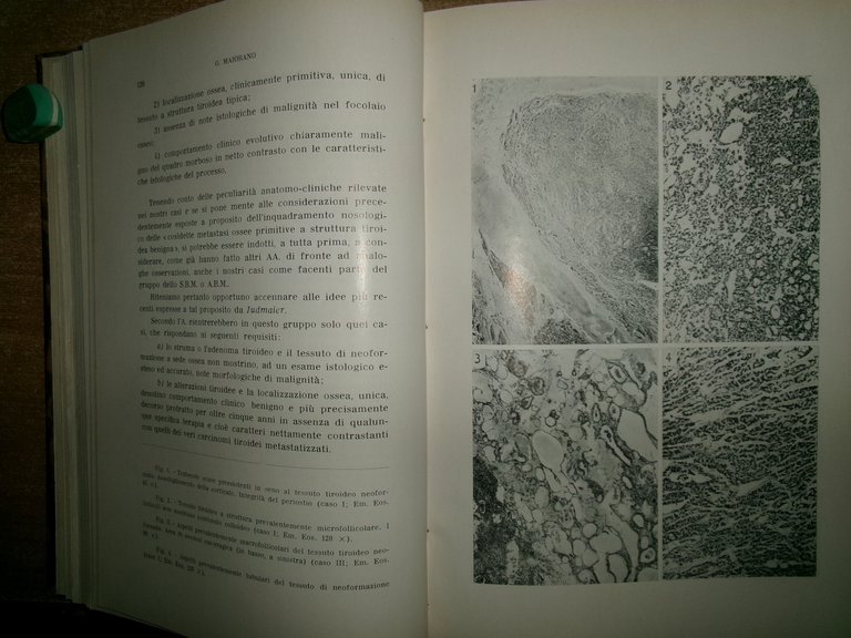DOMENICO CAMPANACCI. Giornale di Clinica Medica 1959 12 fascicoli in …