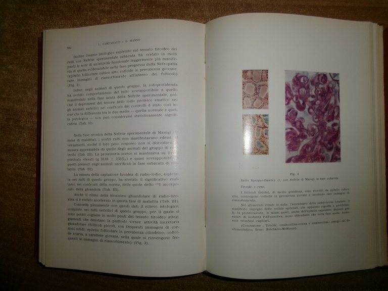 DOMENICO CAMPANACCI. Giornale di Clinica Medica 1961 - 12 fascicoli …