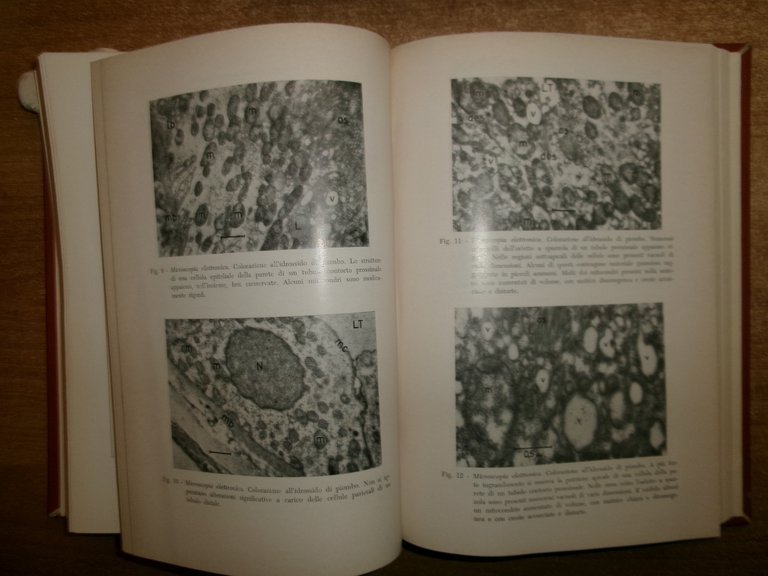 DOMENICO CAMPANACCI. Giornale di Clinica Medica 1964 12 fascicoli legati …
