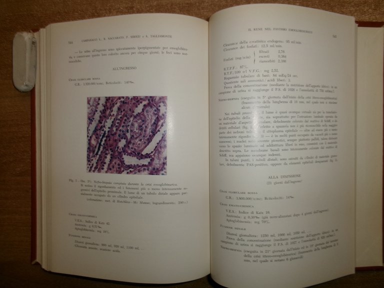 DOMENICO CAMPANACCI. Giornale di Clinica Medica 1964 12 fascicoli legati …