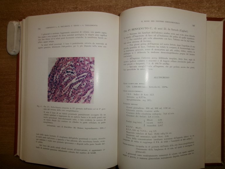 DOMENICO CAMPANACCI. Giornale di Clinica Medica 1964 12 fascicoli legati …
