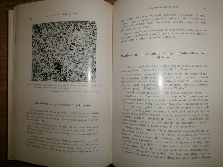 DOMENICO CAMPANACCI. Giornale di Clinica Medica 1966. 12 fascicoli legati …