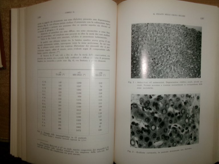 DOMENICO CAMPANACCI. Giornale di Clinica Medica 1967 12 fascicoli in …