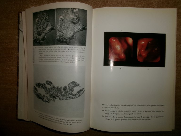 DOMENICO CAMPANACCI. Giornale di Clinica Medica 1969 12 fascicoli legati …