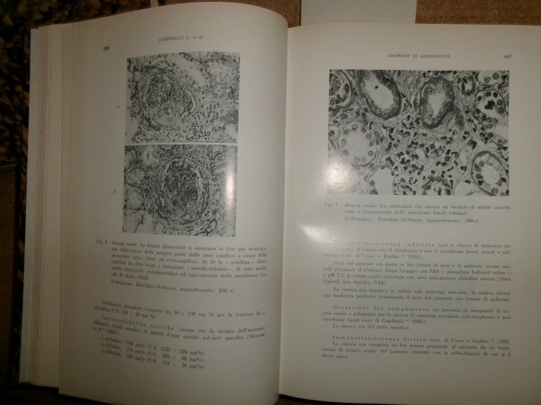 DOMENICO CAMPANACCI. Giornale di Clinica Medica 1969 12 fascicoli legati …