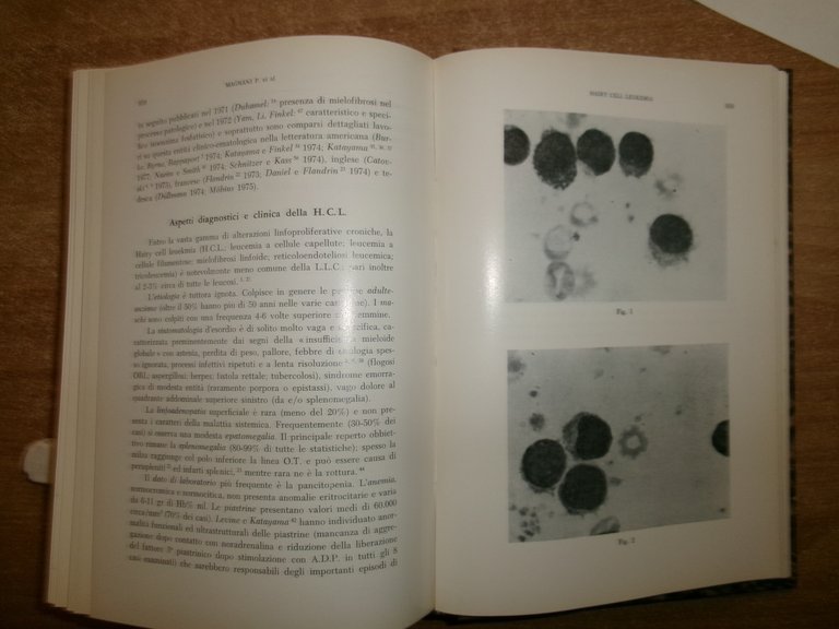 DOMENICO CAMPANACCI Giornale di Clinica Medica 1979. 12 fascicoli legati …
