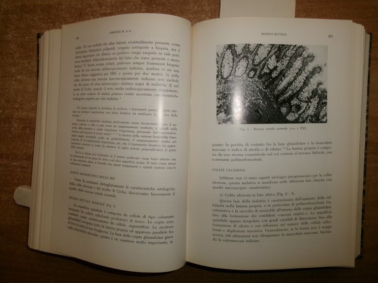 DOMENICO CAMPANACCI Giornale di Clinica Medica 1979. 12 fascicoli legati …