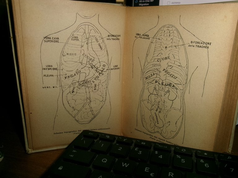 Dott. CARLO MUZIO. MEDICO PRATICO quinta edizione ampliata - HOEPLI, …