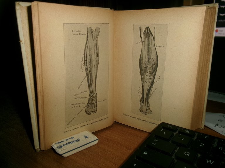 Dott. CARLO MUZIO. MEDICO PRATICO quinta edizione ampliata - HOEPLI, …