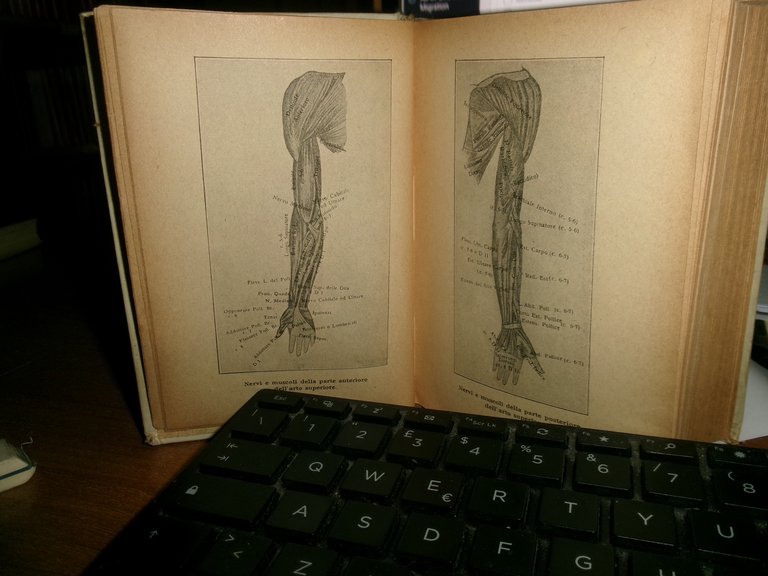 Dott. CARLO MUZIO. MEDICO PRATICO quinta edizione ampliata - HOEPLI, …