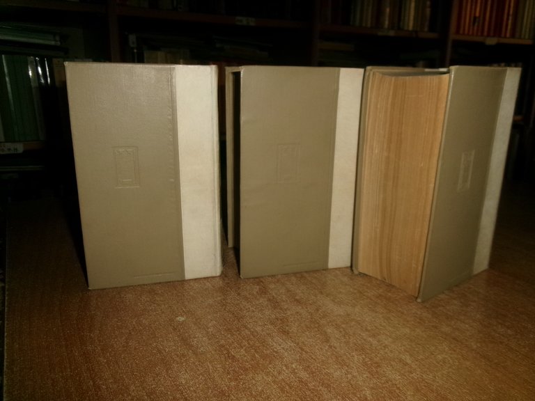 Dott. Prof. G. GAROLLO - Piccola Enciclopedia Hoepli seconda edizione …
