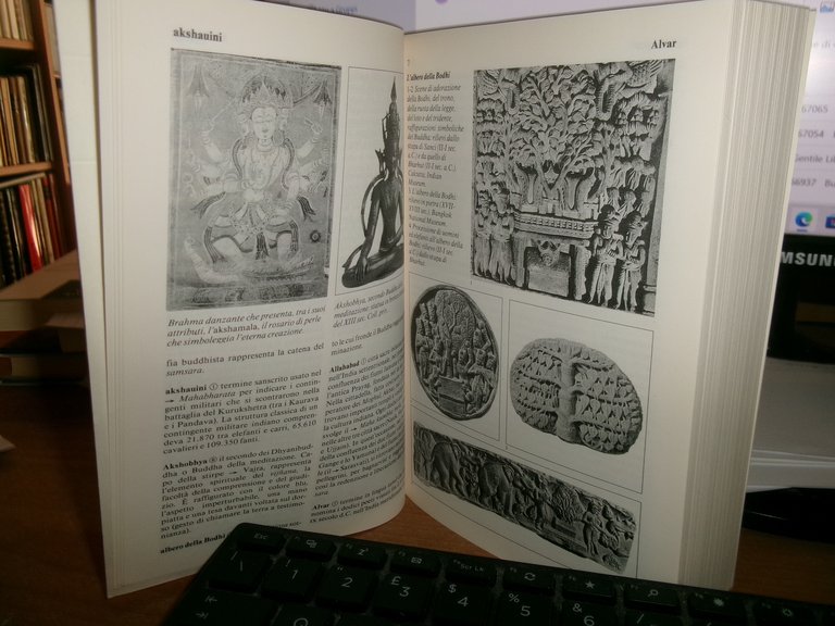 DRO Dizionario delle RELIGIONI ORIENTALI introduzione di Giorgio La Rosa …