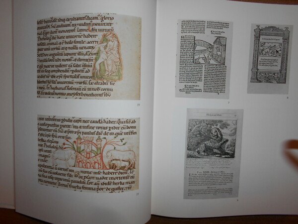 EARLY CHILDREN'S BOOKS and THEIR ILLUSTRATION
