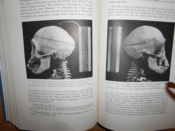 EDWARD TYSON, M.D. F.R.S. 1650-1708 and the rise Human and …
