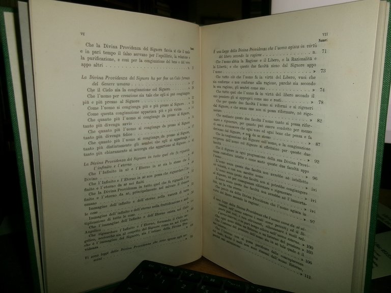 EMANUELE SWEDENBORG. La Sapienza Angelica sulla DIVINA PROVIDENZA 1877