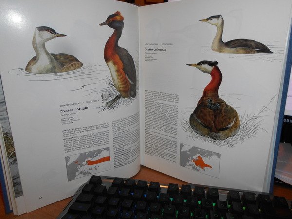 Enciclopedia degli UCCELLI d' EUROPA