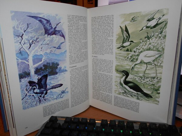 Enciclopedia degli UCCELLI d' EUROPA