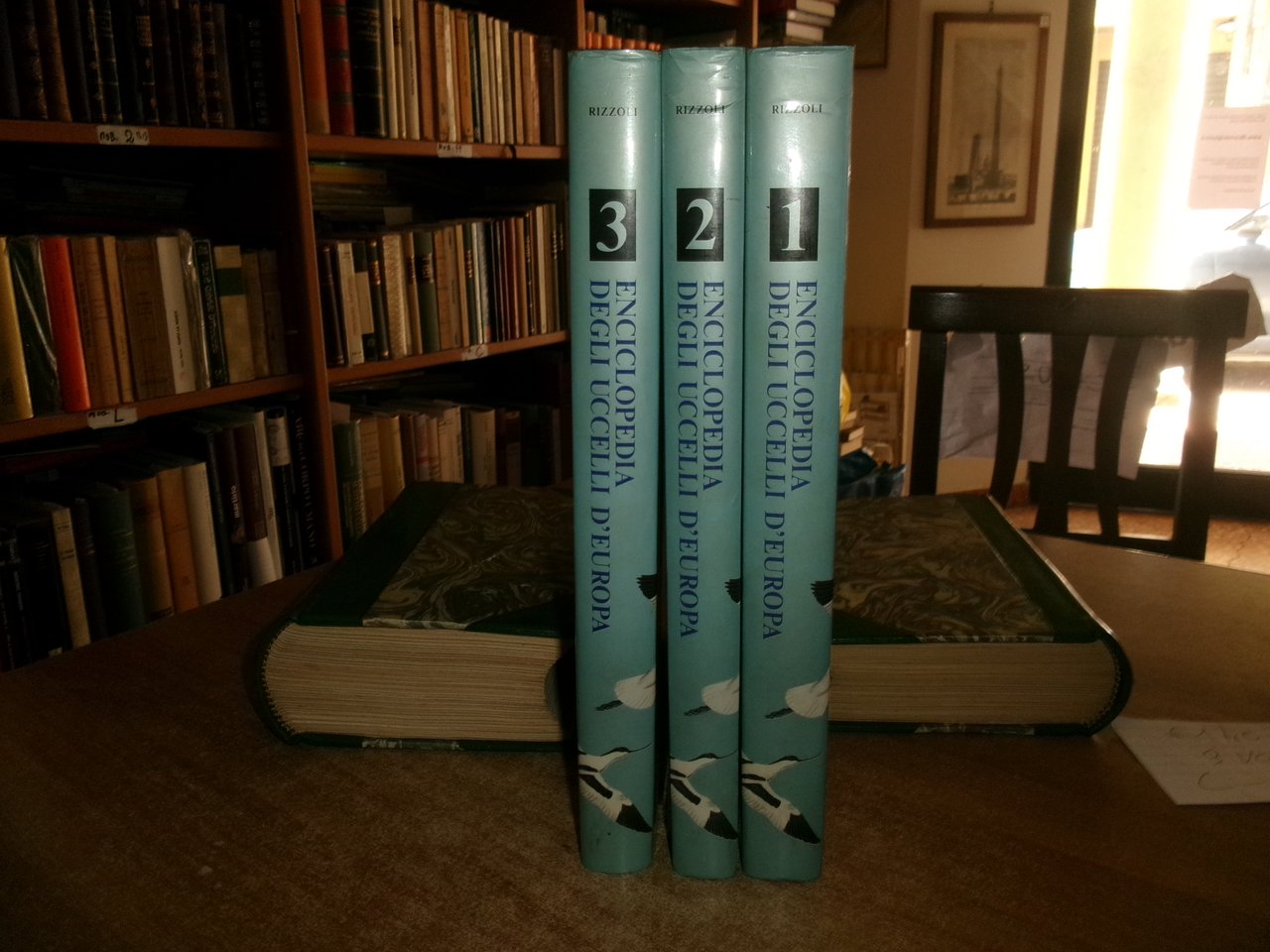 Enciclopedia degli UCCELLI d' EUROPA a cura di Sergio Frugis. …