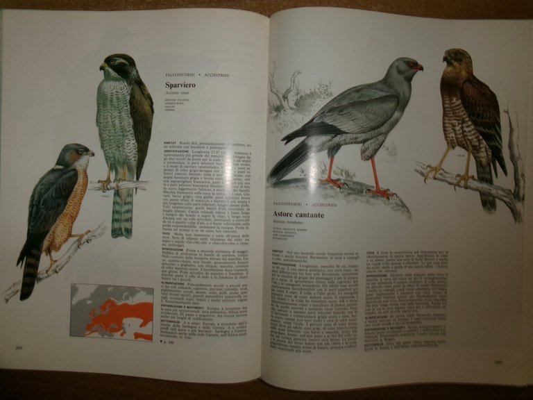 Enciclopedia degli UCCELLI d' EUROPA a cura di Sergio Frugis. …