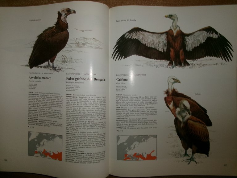 Enciclopedia degli UCCELLI d' EUROPA a cura di Sergio Frugis. …