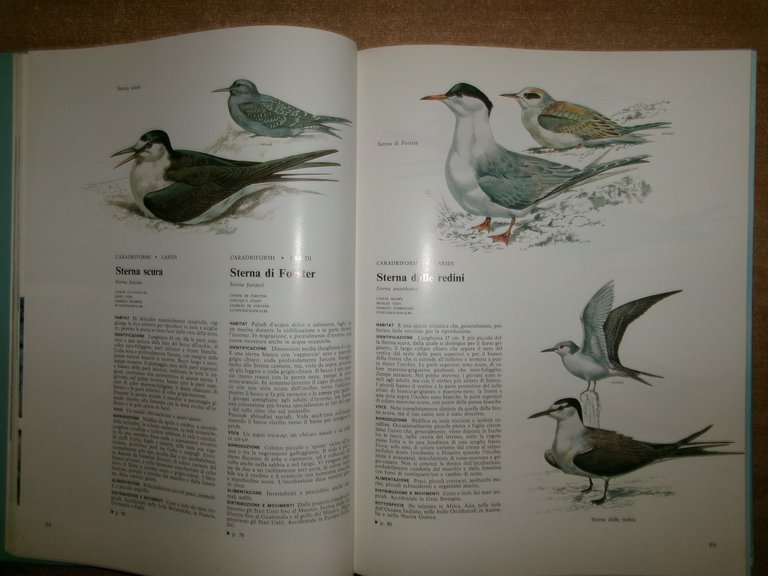 Enciclopedia degli UCCELLI d' EUROPA a cura di Sergio Frugis. …