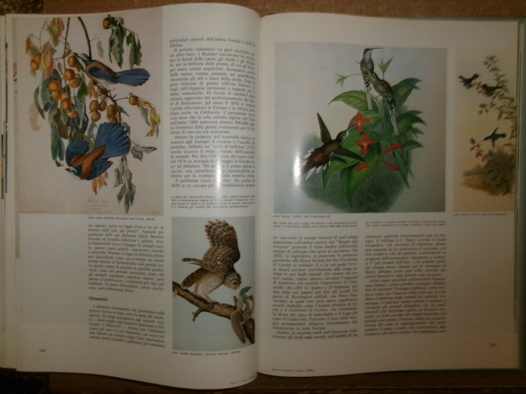 Enciclopedia degli UCCELLI d' EUROPA a cura di Sergio Frugis. …
