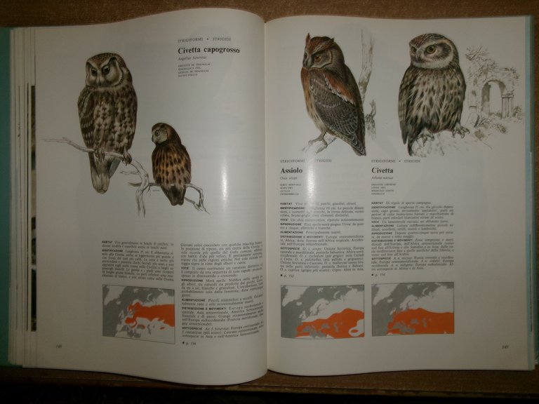 Enciclopedia degli UCCELLI d' EUROPA a cura di Sergio Frugis. …