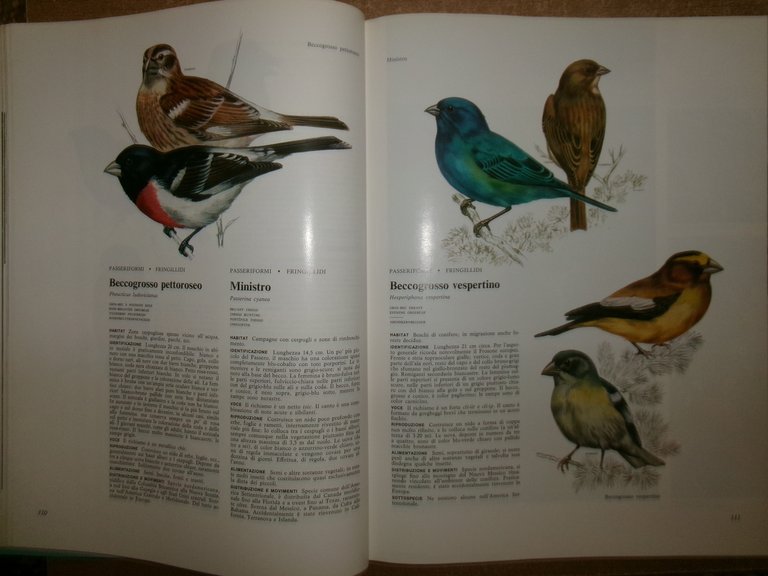 Enciclopedia degli UCCELLI d' EUROPA a cura di Sergio Frugis. …