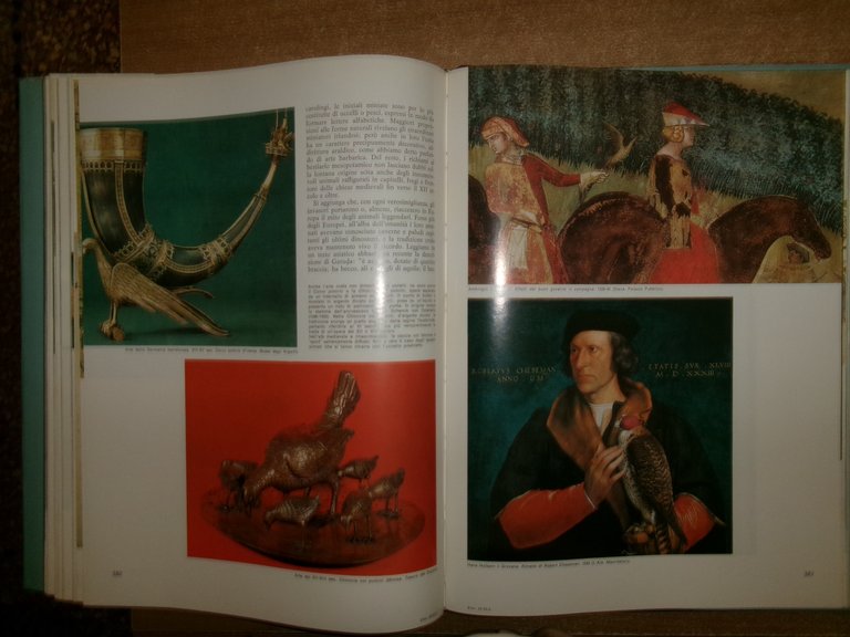Enciclopedia degli UCCELLI d' EUROPA a cura di Sergio Frugis. …