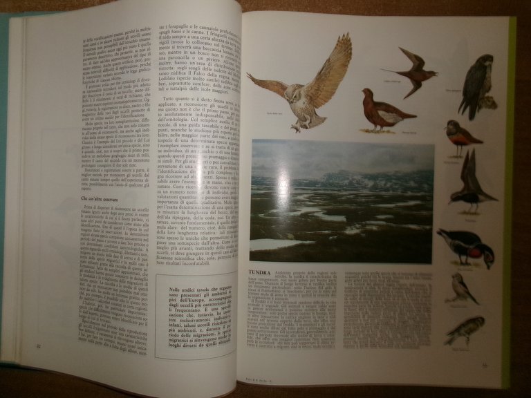 Enciclopedia degli UCCELLI d' EUROPA a cura di Sergio Frugis. …