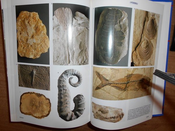 Enciclopedia della Scienza e della Tecnologia