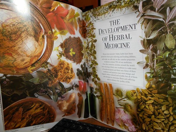 Encyclopedia of HERBAL MEDICINE