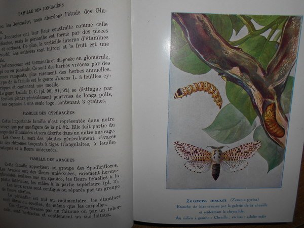 Encyclopedie Pratique dù naturaliste
