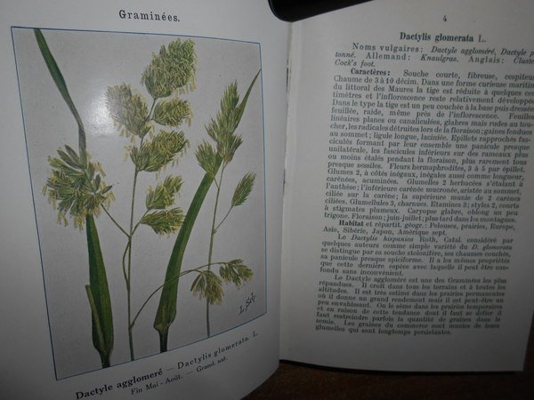 Encyclopedie Pratique dù naturaliste