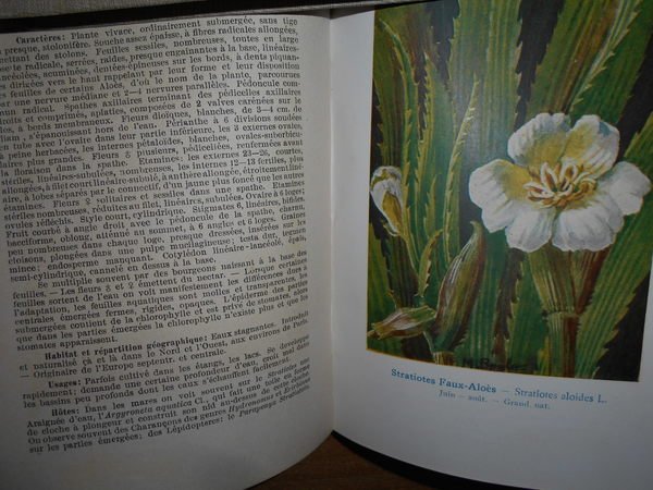 Encyclopedie Pratique dù naturaliste
