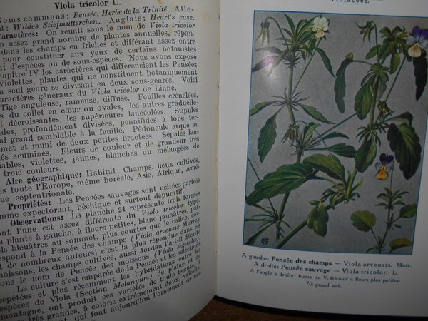 Encyclopedie Pratique dù naturaliste