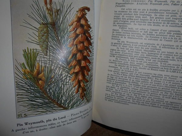 Encyclopedie Pratique dù naturaliste