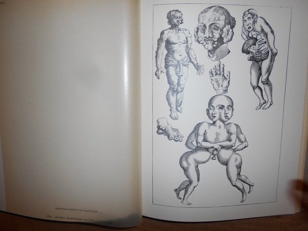 Entwicklung und Bibliographie der Pathologisch-Anatomischen Abbildung