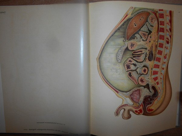 Entwicklung und Bibliographie der Pathologisch-Anatomischen Abbildung
