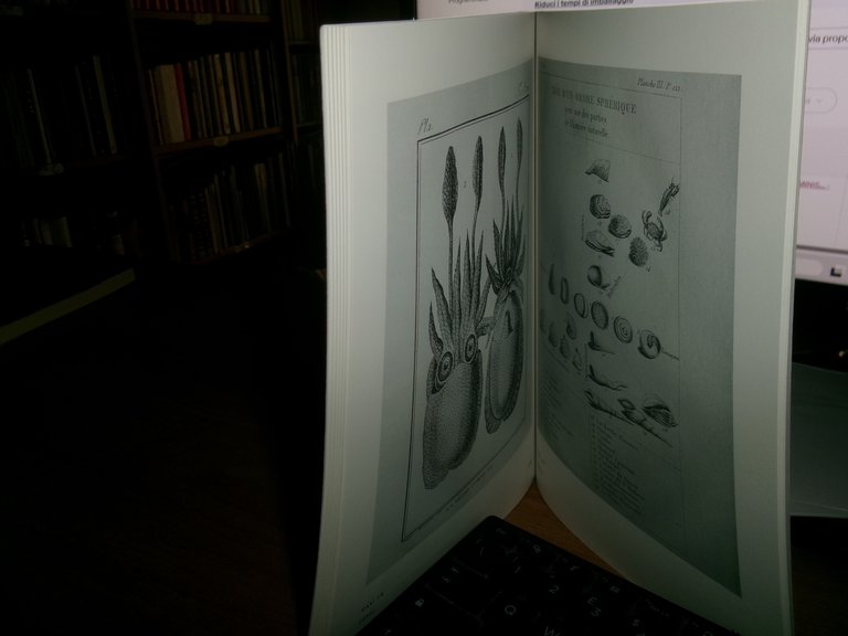 ERMINIO CAPROTTI. L' illustrazione Malacologica dal 1800 al 1868. BIBLIOGRAFIA